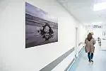 Fotografie wiszące na oddziale Chemioterapii Jednego Dnia Szpitala Morskiego im. PCK w Gdyni 