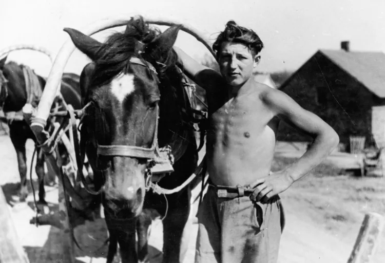 Dlaczego koń, ciągnący na co dzień furmankę należącą do gdyńskiej firmy Korab, musiał chodzić po mieście w butach? Odpowiedź na końcu artykułu. Zdjęcie z Ilustrowanego Kuriera Codziennego z 1937 roku.