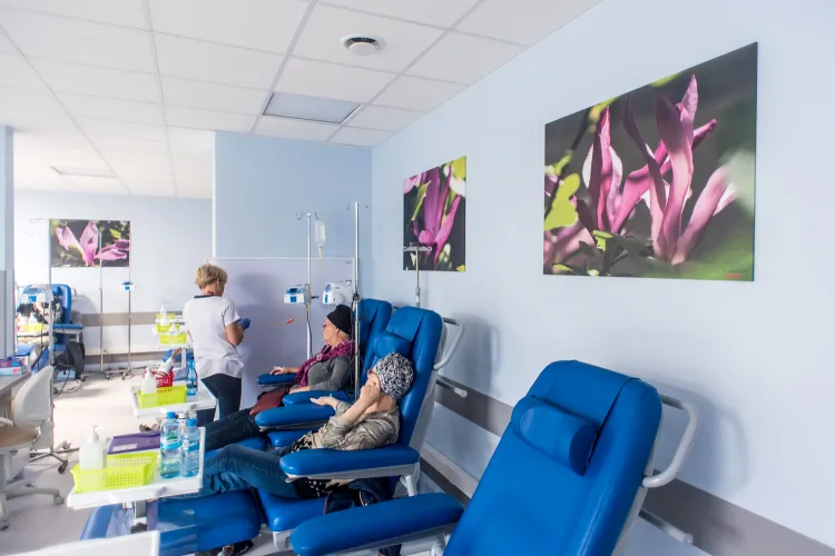 Fotografie wiszące na oddziale Chemioterapii Jednego Dnia Szpitala Morskiego im. PCK w Gdyni. 