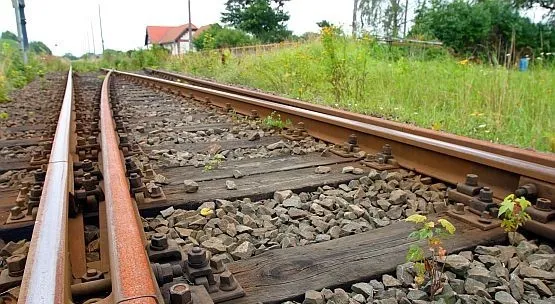 Mieszkańcy miejscowości Nowy Świat obawiają się, że duża liczba pociągów Kolei Metropolitalnej sprawi, że będą tkwili w korkach.