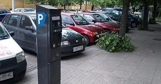 Władze Gdyni nie mówią "nie" rozszerzaniu obszaru objętego płatnym parkowaniem, ale z decyzją jeszcze poczekają.
