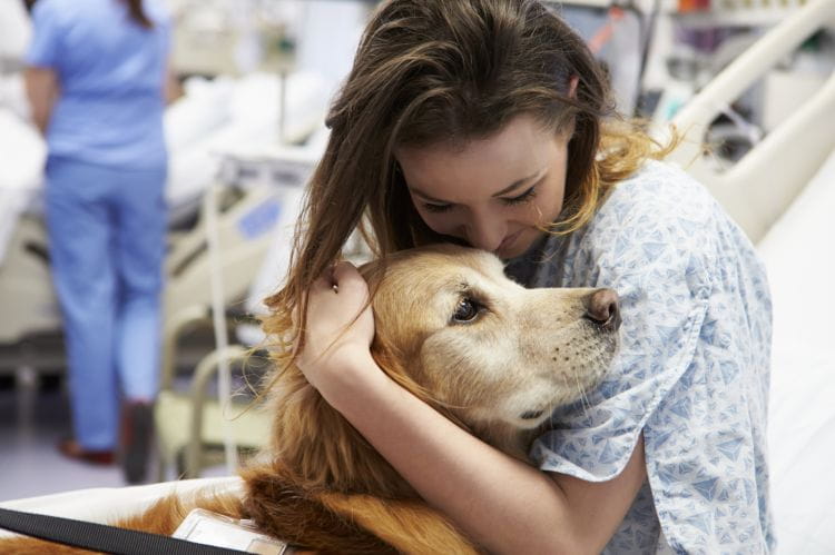 Dla każdego człowieka, a zwłaszcza dla osoby chorej kontakt ze zwierzęciem jest ważny. Dotyk odgrywa bardzo dużą rolę w procesie leczenia i w przypadku wielu terapii.