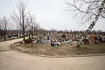 Nowe groby na Cmentarzu Łostowickim.