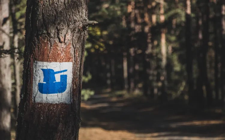 IV InO Vestigia towarzyszył klimat wojskowo-historyczny. Uczestnicy przy okazji wędrówki wchodzili więc do bunkrów, szukali betonowych transzei lub przechodzili koło innych pozostałości fortyfikacji helskich.