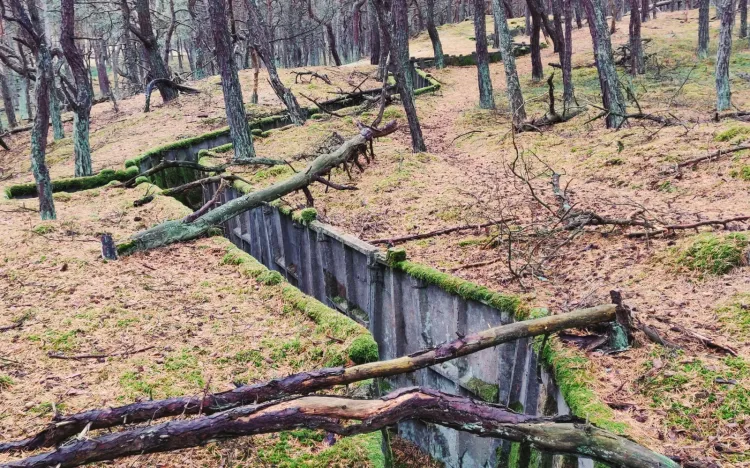 IV InO Vestigia towarzyszył klimat wojskowo-historyczny. Uczestnicy przy okazji wędrówki wchodzili więc do bunkrów, szukali betonowych transzei lub przechodzili koło innych pozostałości fortyfikacji helskich.