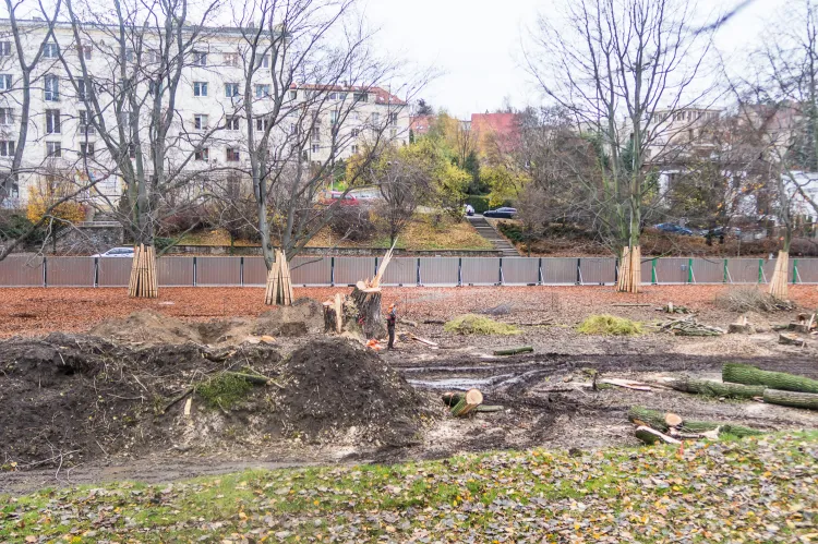 Teren budowy Parku Centralnego