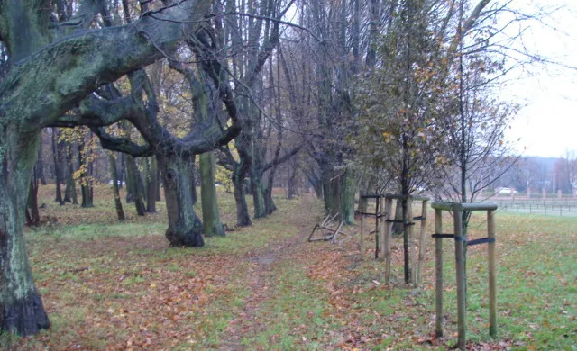 Park w Kolibkach w jesiennym ujęciu