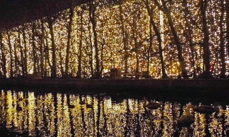 W najbliższych dniach wszystkie świąteczne iluminacje w parku Oliwskim zostaną zdemontowane.