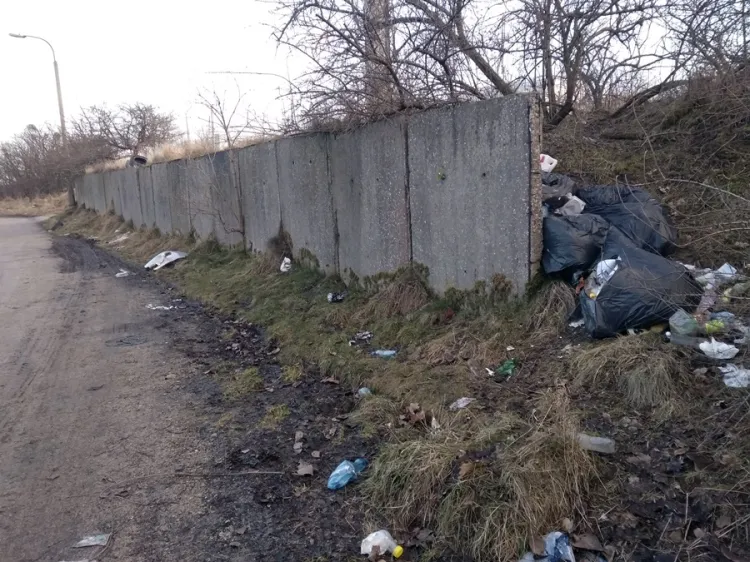 Śmieci walające się przy ulicy Bartniczej w dzielnicy Maćkowy w Gdańsku.