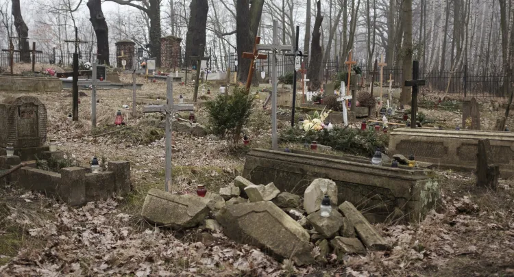 W sobotę będzie można posprzątać m.in. teren cmentarza w Orłowie.