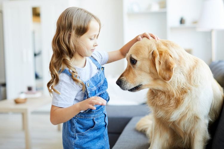 Zajęcia terapeutyczne z udziałem psa nazywa się potocznie dogoterapią.