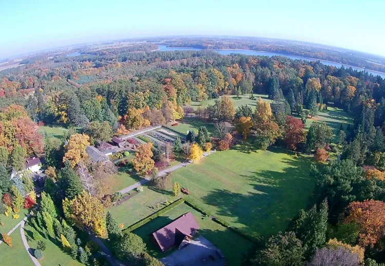 Arboretum Wirty to najstarszy leśny ogród botaniczny w Polsce.