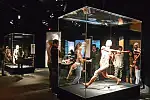 Wystawa Body Worlds jest prezentowana w Galerii Metropolia we Wrzeszczu do 26 czerwca.