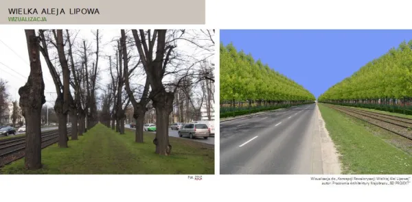 Dwa lata temu przedstawiono wizualizację pokazującą aleję przed i po rewaloryzacji. Zakładała ona wymianę na nowe niemal wszystkich drzew. 
