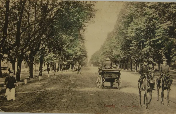Aleja Lipowa 100 lat po jej założeniu. Zdjęcie wykonane przed 1872 rokiem. Ilustracja z domeny publicznej.