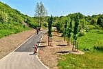 Nowa, wygodna ścieżka łącząca Park Oruński ze zbiornikiem Augustowska powstaje w ramach budżetu obywatelskiego. Kosztuje niespełna 1 mln zł.