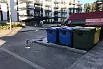 Pojemniki ze śmieciami na terenie osiedla Idea. 