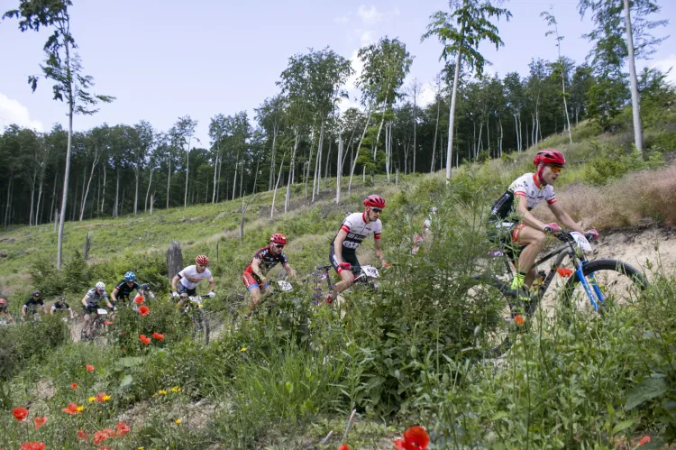 Lotto MTB Energy Maraton w Wieżycy okazał się sukcesem organizacyjnym.