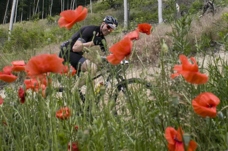 Lotto MTB Energy Maraton w Wieżycy okazał się sukcesem organizacyjnym.