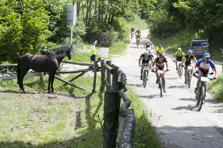 Lotto MTB Energy Maraton w Wieżycy okazał się sukcesem organizacyjnym.