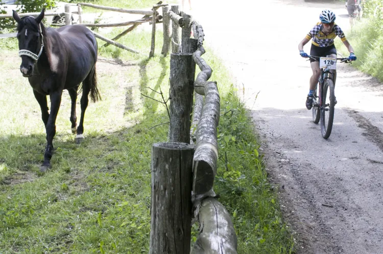 Lotto MTB Energy Maraton w Wieżycy okazał się sukcesem organizacyjnym.