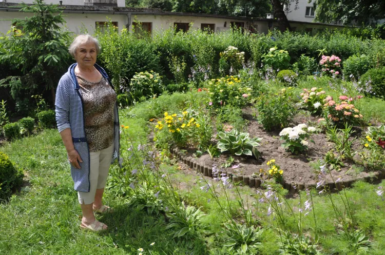 Pani Janina wraz z sąsiadką w ciągu ośmiu lat zasadziły w dwóch ogrodach kilkadziesiąt kwiatów i drzewek. 