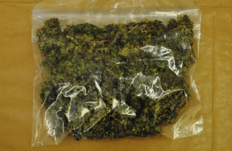 Przy większości zatrzymanych niedaleko terenu festiwalowego znaleziono niewielkie ilości marihuany.