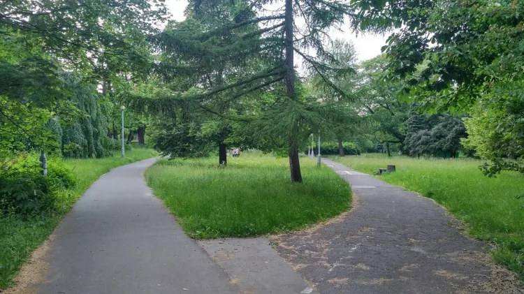 Bujna roślinność i centralne położenie sprawiają, że Park Steffensów mógłby być bardzo atrakcyjnym miejscem spacerów. Jednak sposób jego zagospodarowania wymaga sporych zmian, by tak się rzeczywiście stało.