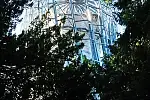 Stalowa konstrukcja rotundy palmiarni w parku Oliwskim.