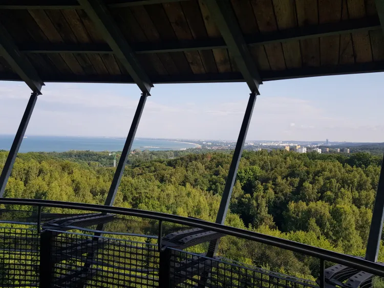 Widok z wieży w Kolibkach