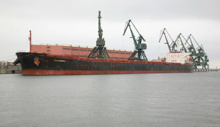 Statek m/v &#8222;Genco Surprise&#8221; przywiózł największy w historii Portu Gdynia jednorazowy ładunek importowanej śruty.