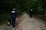 Zaginiony mężczyzna znajdował się około kilometra od wyjścia z lasu.