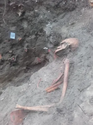Drugi w ciągu kilku dni szkielet obrońcy odnaleziono na Westerplatte. 
