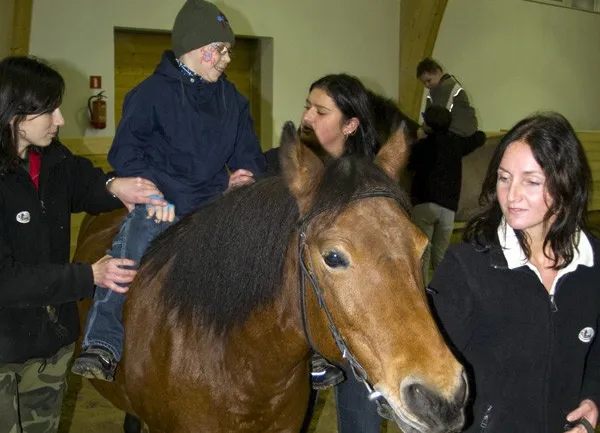 W Kolibkach będzie nie tylko hipoterapia, ale również klub jeździecki.