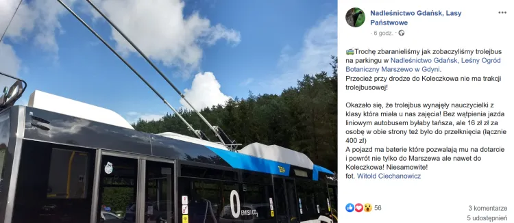 Nadleśnictwo o wizycie trolejbusu poinformowało na swoim profilu. 