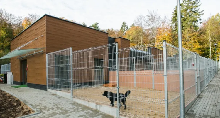 Nowy pawilon dla psów z Ciapkowa pomieści 170 czworonogów. Kosztował 4 mln zł.