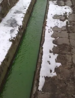 Zimą zielona woda pojawiła się w rzece Kaczej.