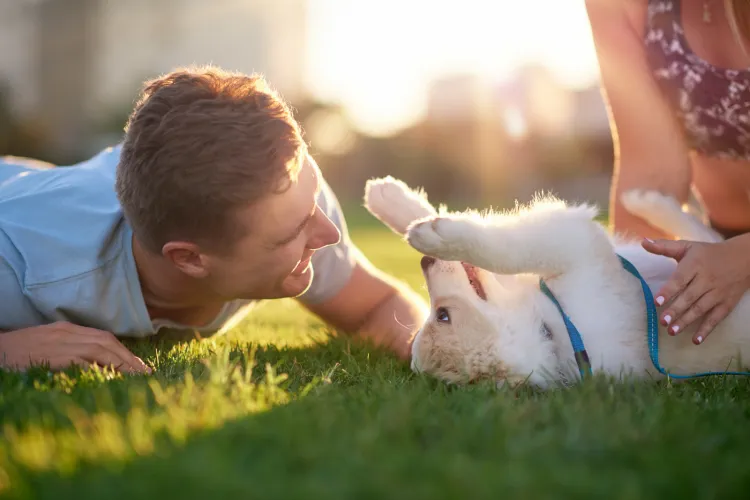 Właściciele psów żyją radośniej i... dłużej? 