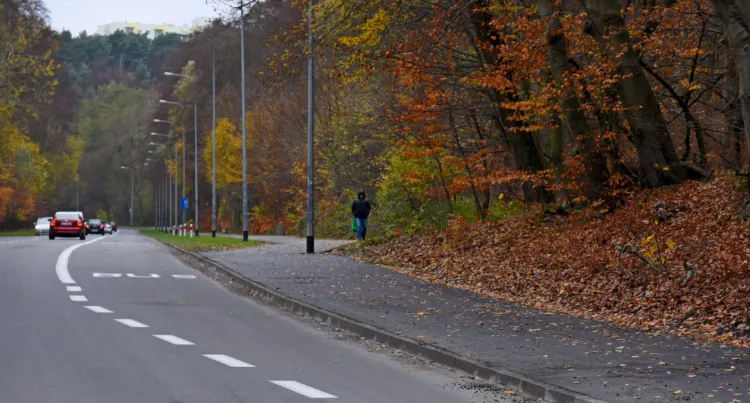 Nowa nawierzchnia chodnika na Małokackiej ma zachęcić do jazdy rowerem.