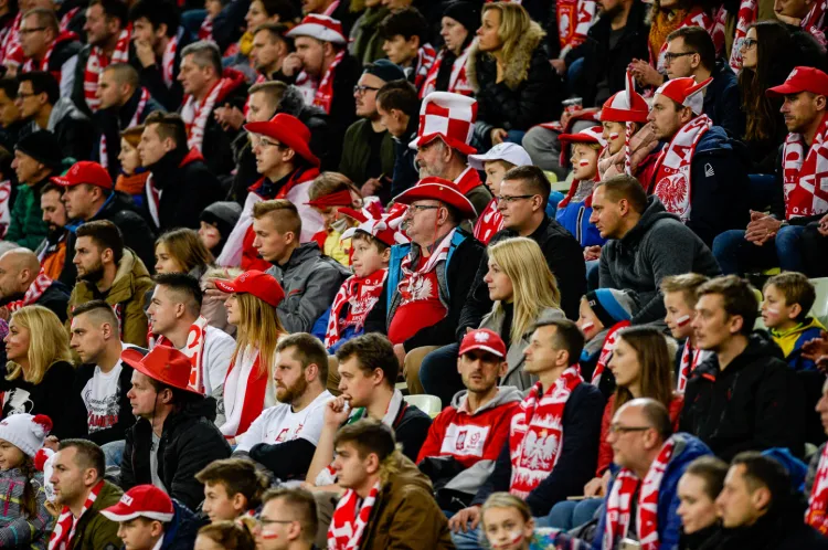 Polscy kibice, podobnie jak sympatycy innych drużyn, które zagrają w Euro 2020, na bilety mogą zapisywać się do 18 grudnia. 
