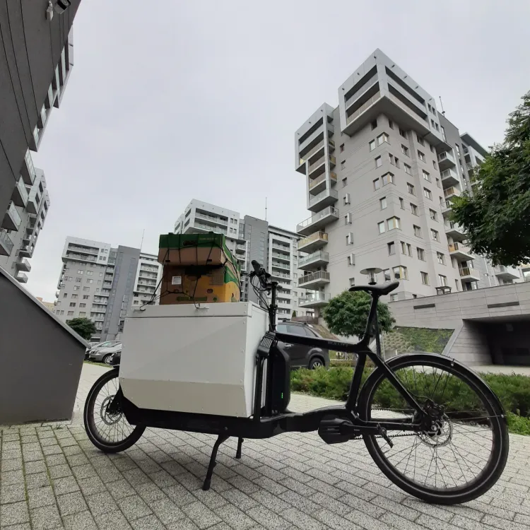 Elektrycznie wspomagany rower typu cargo
