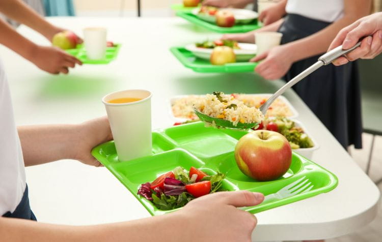 W gdańskich szkołach, przedszkolach i żłobkach publicznych brakuje możliwości wybrania roślinnego posiłku. Trwa zbieranie podpisów pod petycją, by to zmienić.