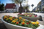  Kwiaty w donicach na ul. Świętojańskiej w Gdyni