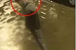 Widoczny na zdjęciu mężczyzna miał bez powodu zaatakować osobę przechodzącą ul. Starowiejską.