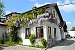 Wisterie mogą pokrywać elewacje budynków. 