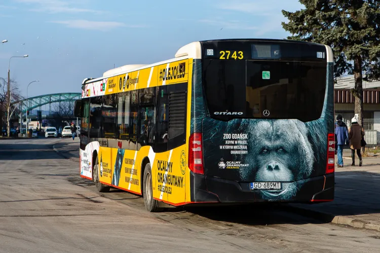 Sezonowe linie w wygodny sposób pomagały dostać się m.in. do zoo czy na Westerplatte. W tym roku autobusy wyjadą później.