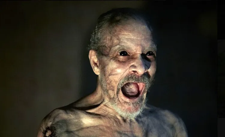 Film określany jest jako horror, thriller oraz dramat psychologiczny z elementami horroru.