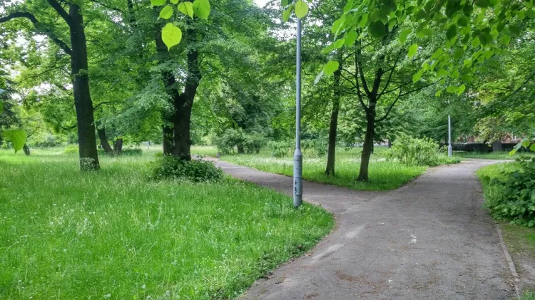 Poza bujną zielenią Park Steffensów nie ma dzisiaj zbyt wiele do zaoferowania. 