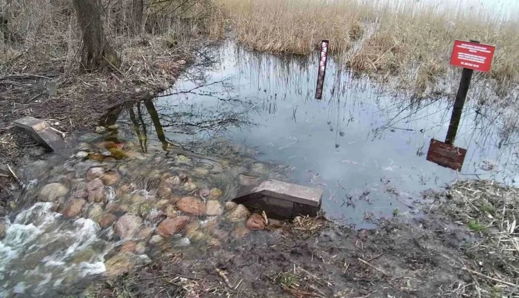 Progi drewniano-kamienne stabilizują lustro wody przy jeziorach w powiecie tucholskim. Na zdjęciu próg przy jeziorze Żalno.
