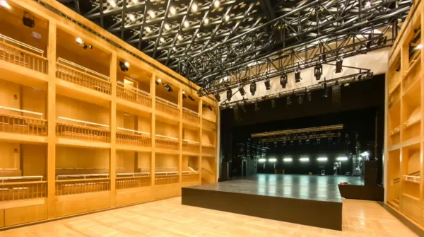 Gdański Teatr Szekspirowski pozyskał środki na swój projekt online "SzekspirON" - 72 tys. zł, a związana z GTS Fundacja Theatrum Gedanense dalsze 65 tys. zł na "Monoteatr #wdomu".